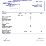 Ultra High Phenolic Extra Virgin Olive Oil - NEW 2025 HARVEST