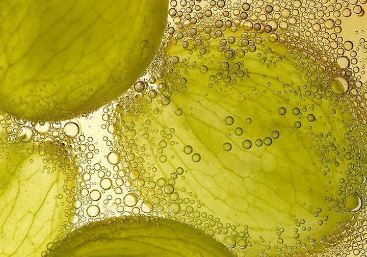 Olive polyphenol oil — the molecule that protects LDL from oxidation