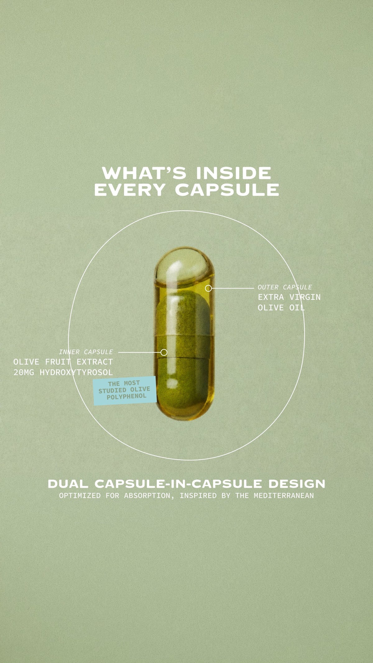 Your daily dose of olive polyphenols, in one capsule.