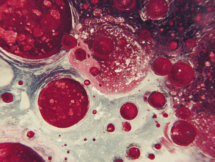 Blood cells — silent, low-grade inflammation shows up in your blood