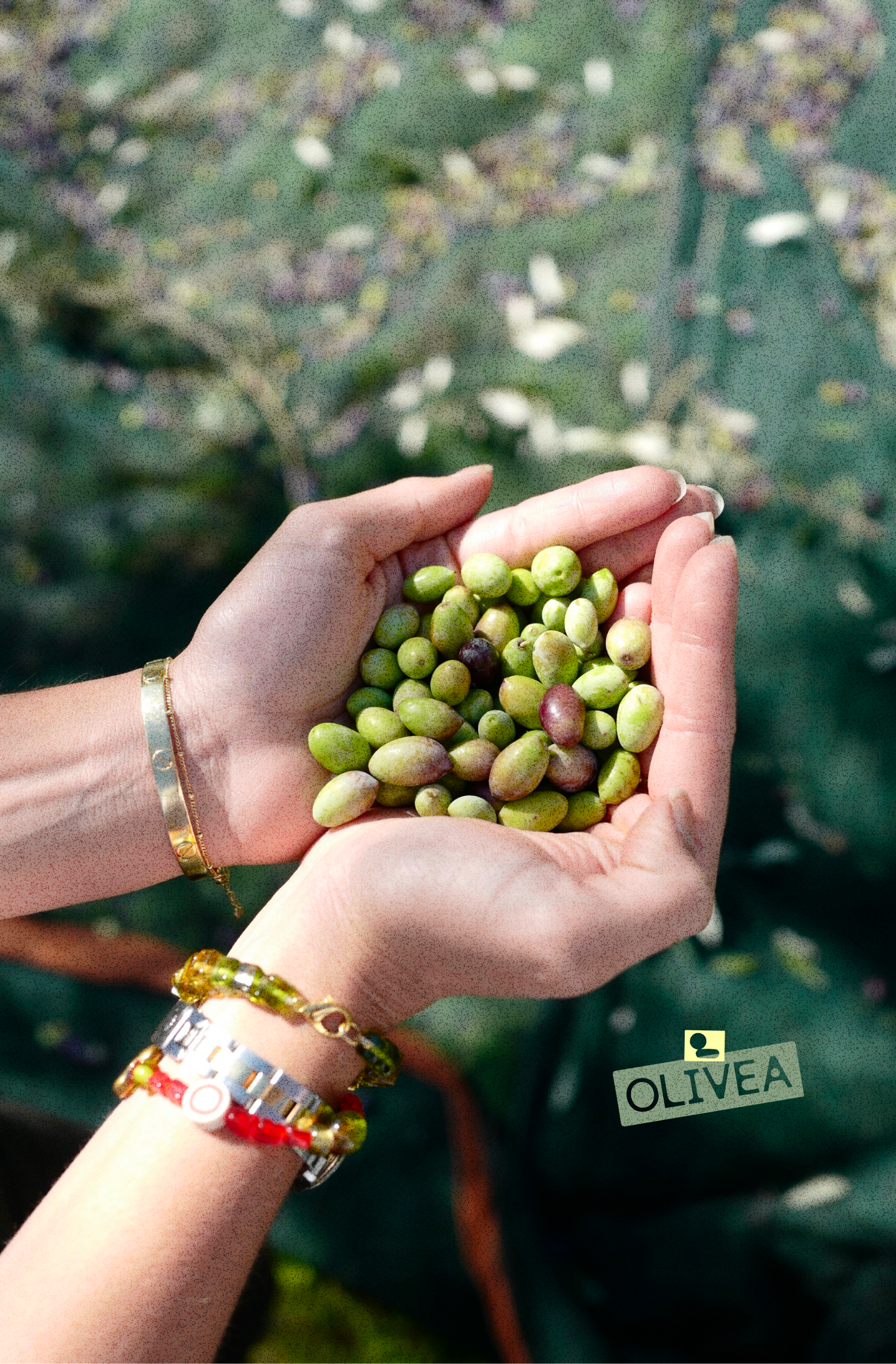 Results That Build Daily